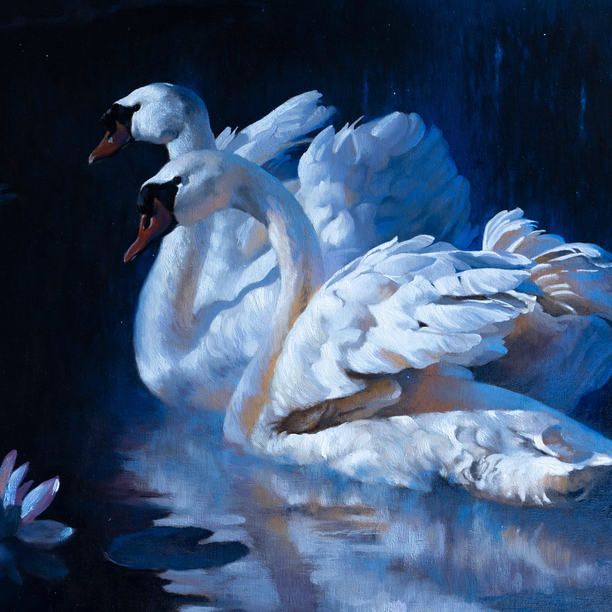 Moonlight Swans by Greg Parker