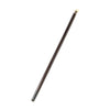 Doctor's Cane