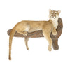 Full Body Cougar Mount, Furnishings, Taxidermy, Cougar