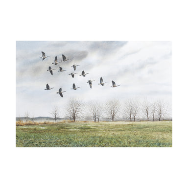 Canada Geese by Noel Dunn, Fine Art, Painting, Wildlife