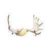 Moose Antler Rack