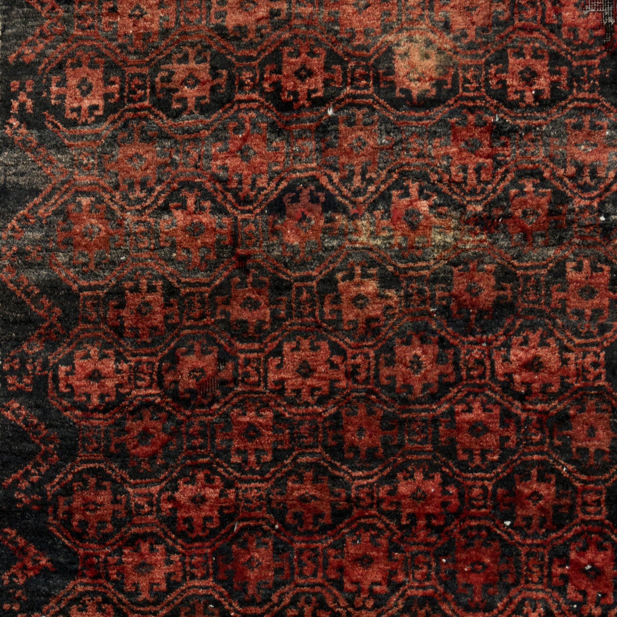 Afghan Baluch Runner