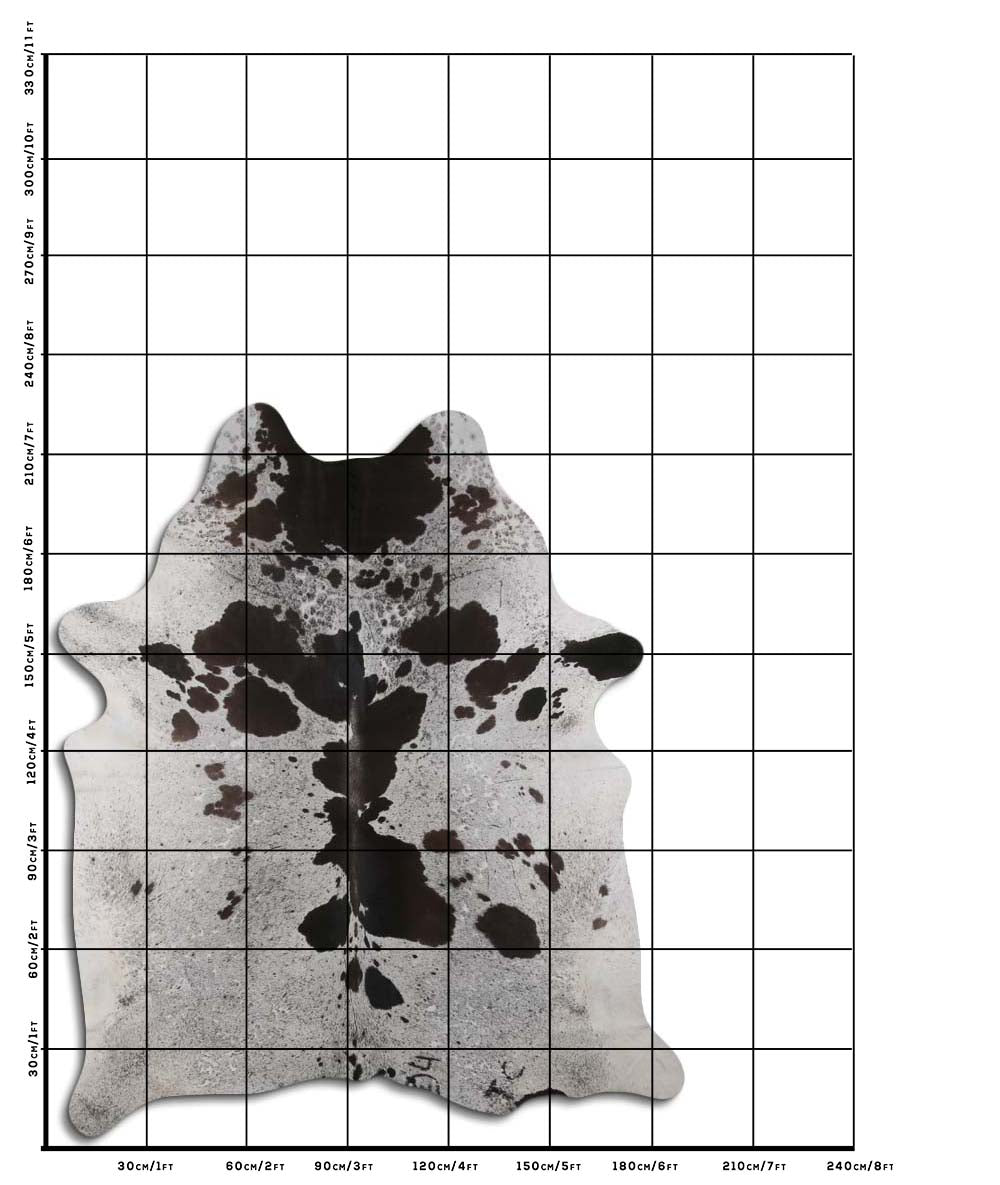Brown and White Speckled Longhorn Hide