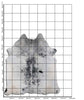 Black and White Speckled Longhorn Hide