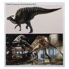 Cretaceous Period Hadrosaur Bone