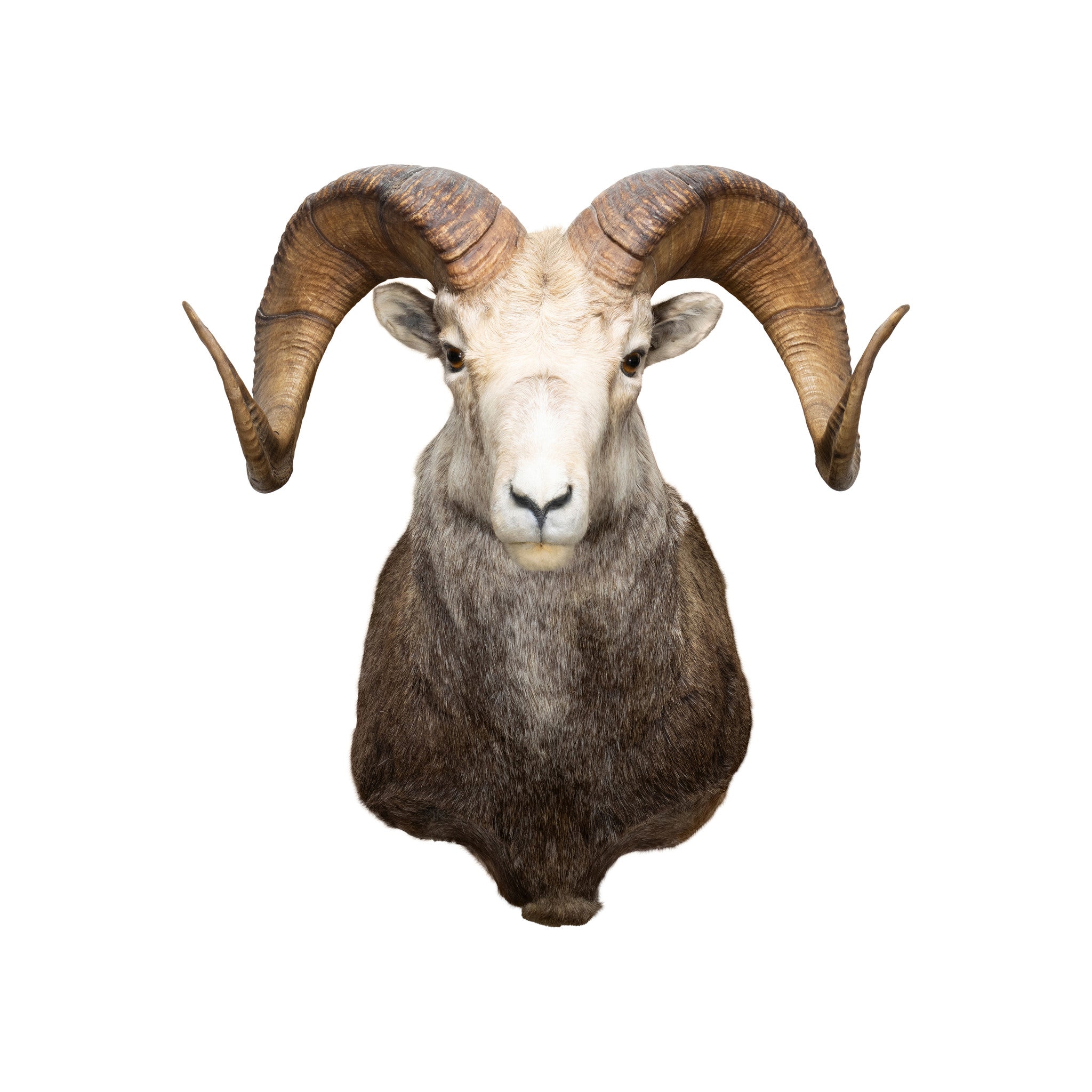 Stone Ram