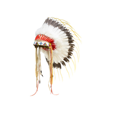 Lakota Sioux Style Headdress, Native, Head Piece, Headdress