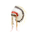 Lakota Sioux Style Headdress, Native, Inspired Art, Head Piece