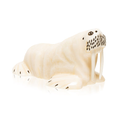 Inuit Carved Walrus, Native, Carving, Ivory
