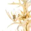 Two-Tier Whitetail Chandelier