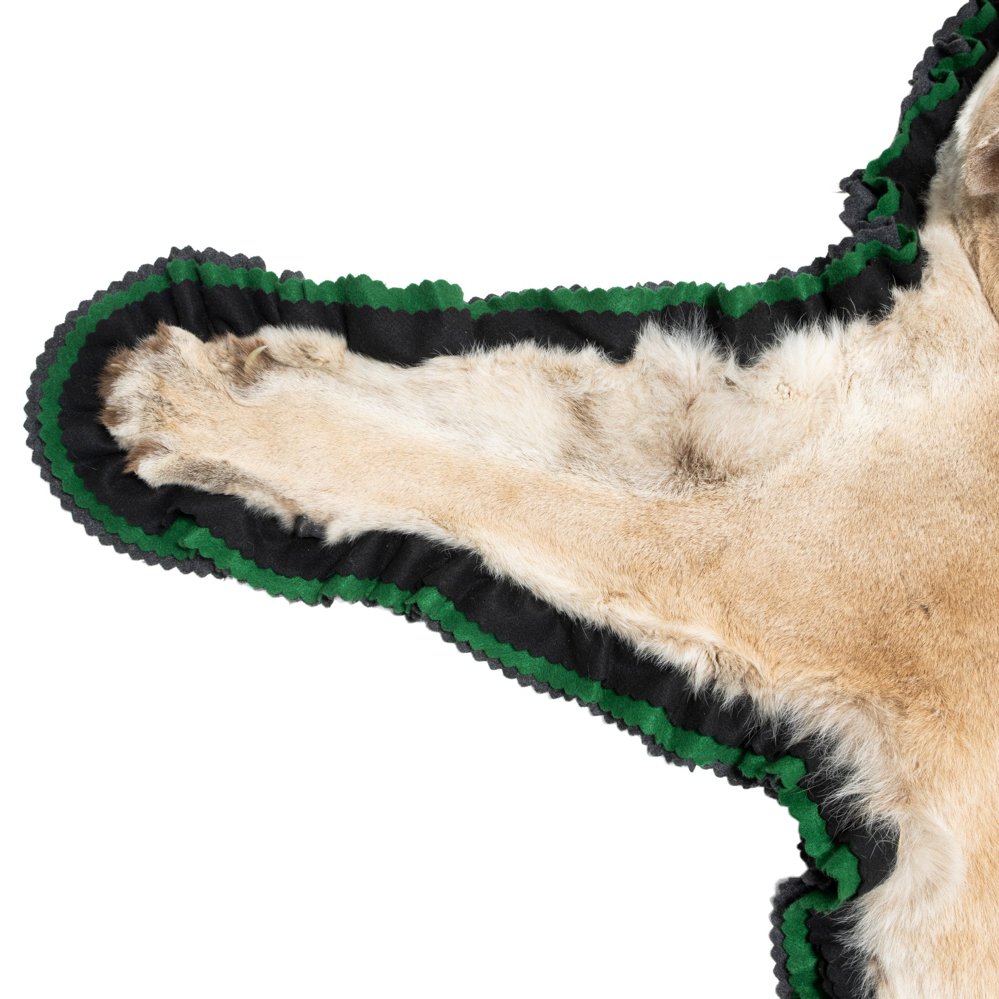 Cougar Rug
