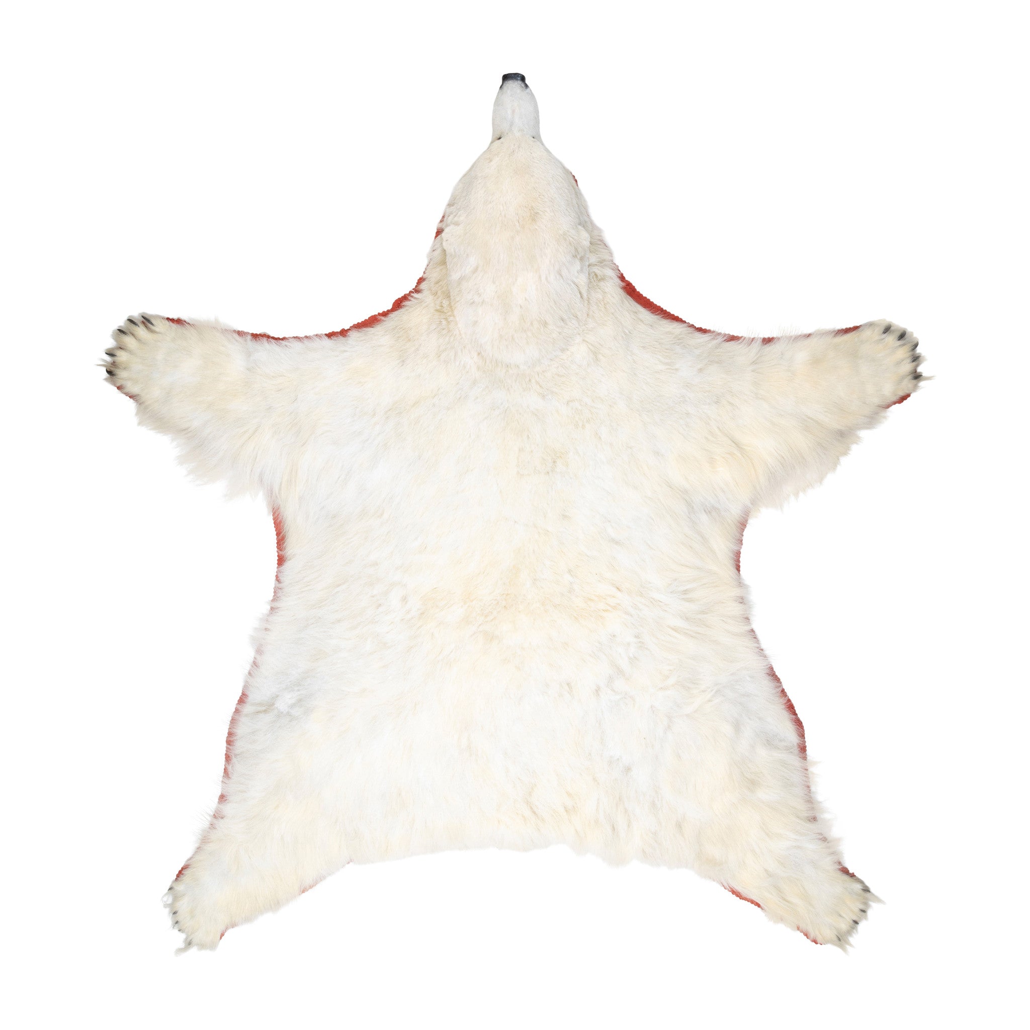 Polar Bear Rug