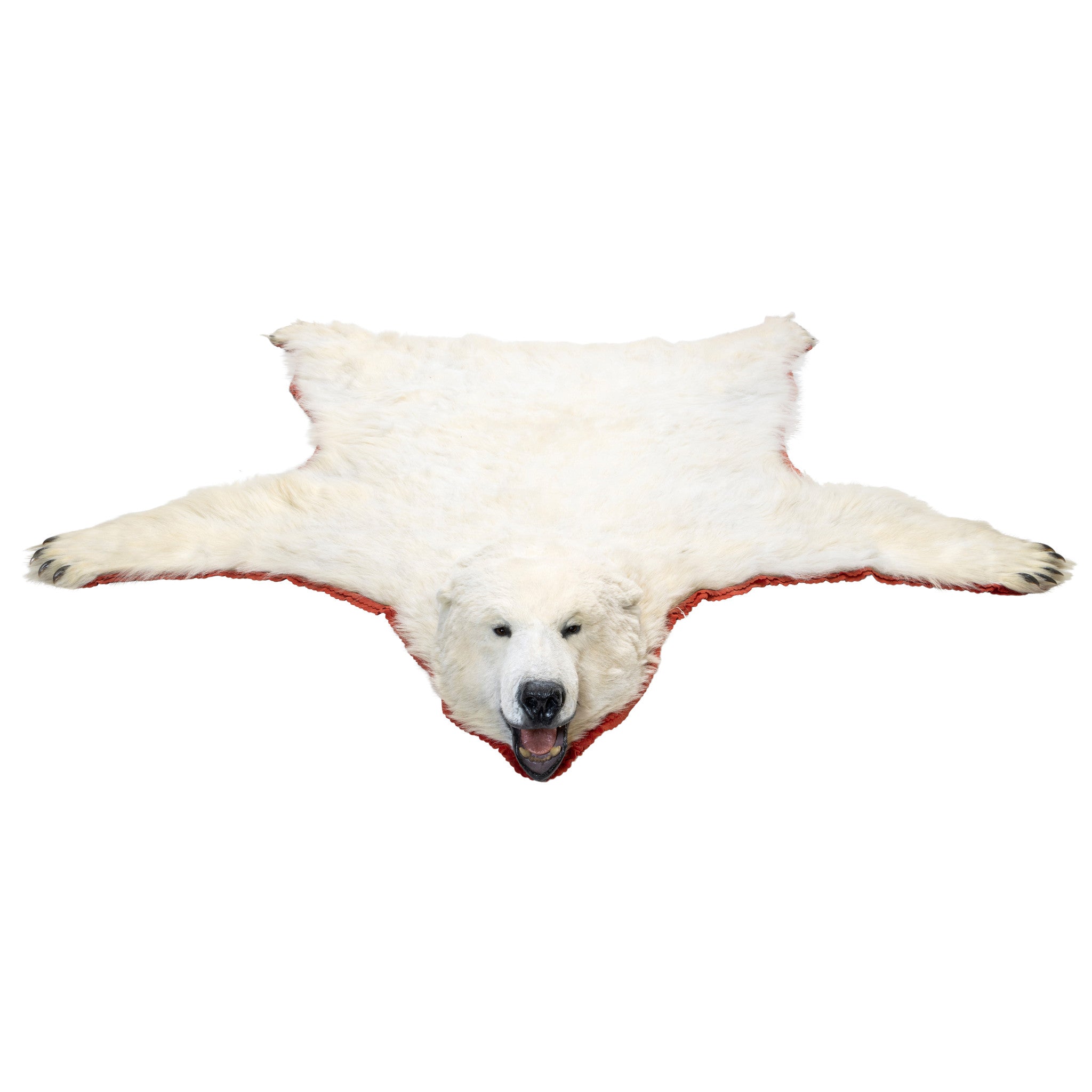 Polar Bear Rug