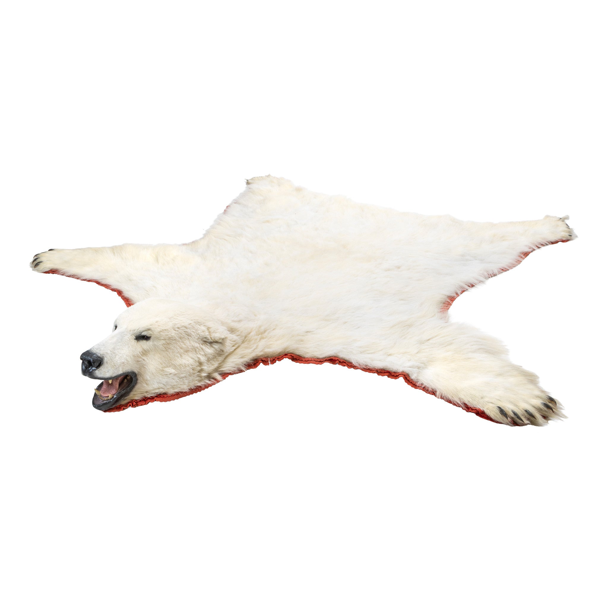 Polar Bear Rug