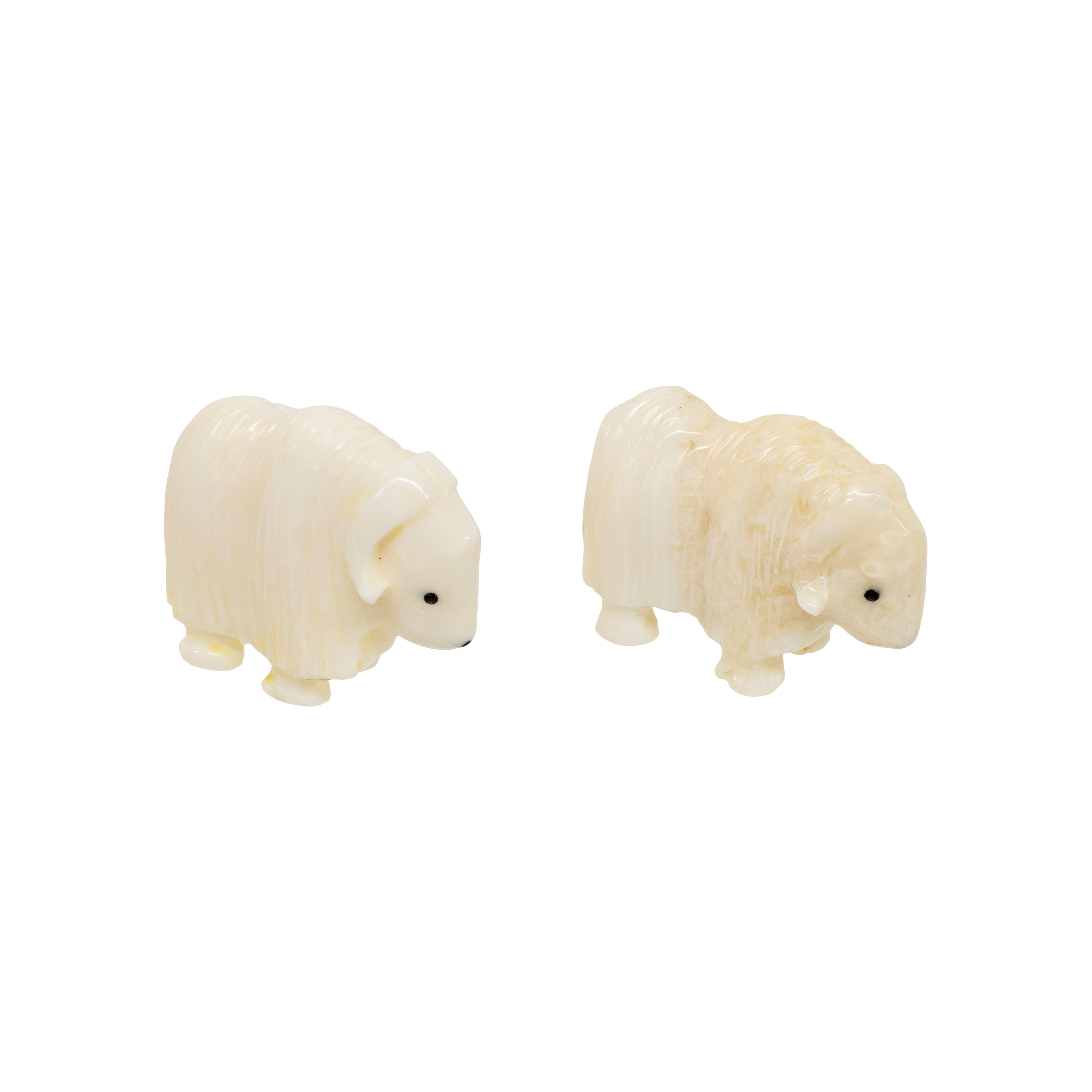 Miniature Walrus Ivory Musk Ox Pair