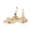 Inuit Walrus Ivory Puffins on Rock, Native, Carving, Ivory