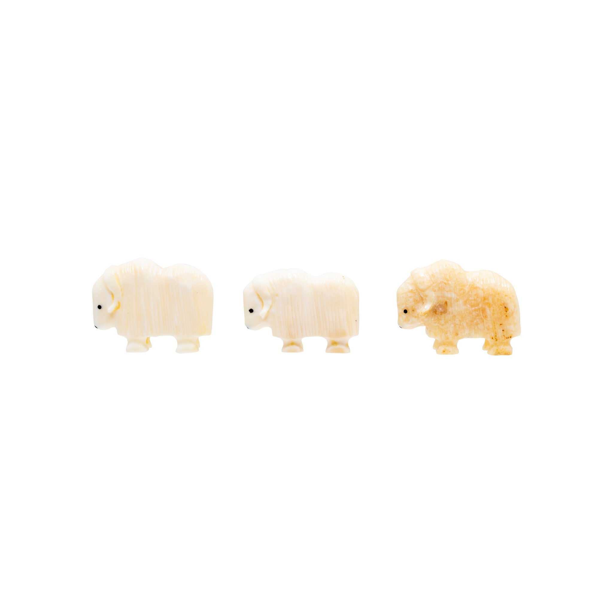 Miniature Walrus Ivory Musk Ox Carvings