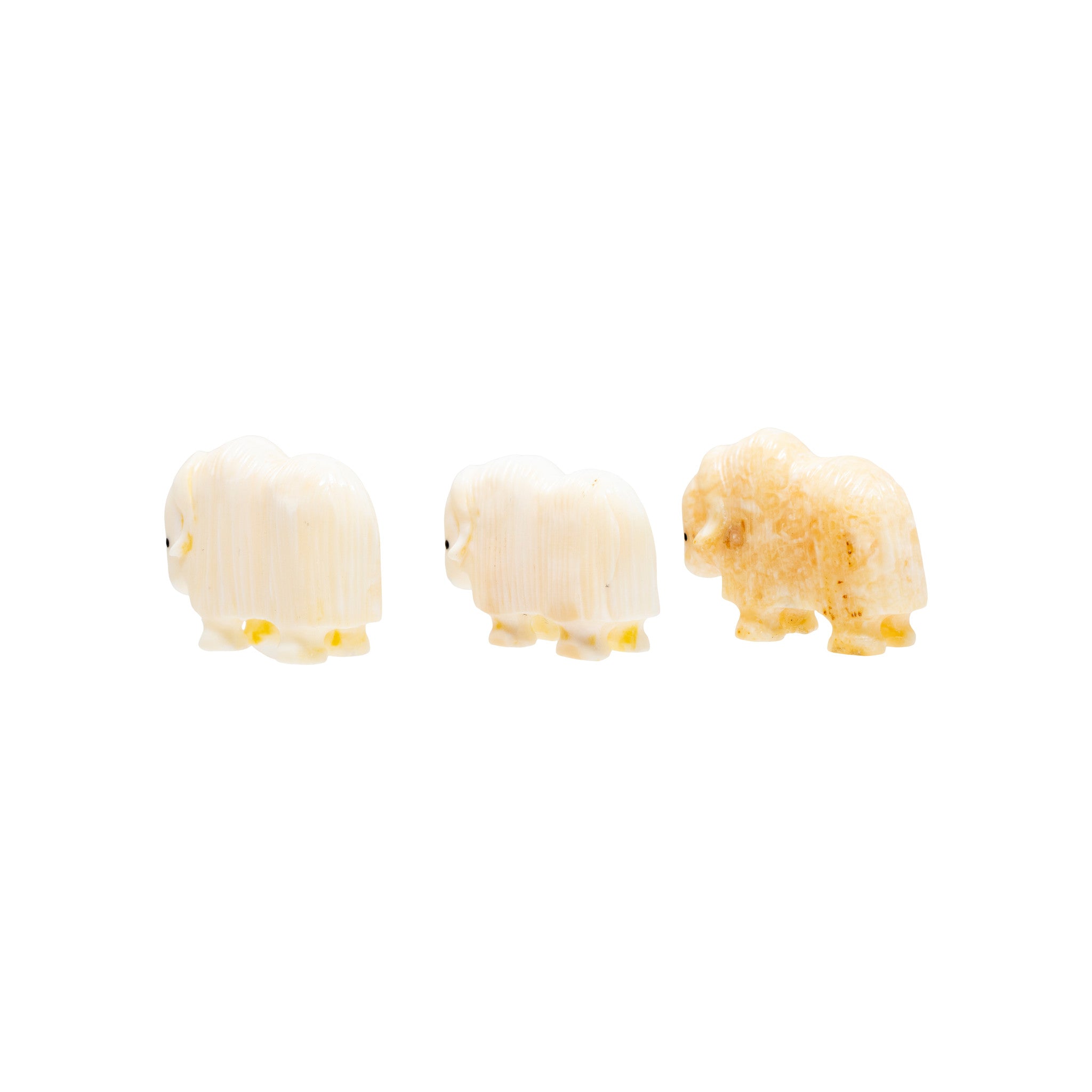 Miniature Walrus Ivory Musk Ox Carvings