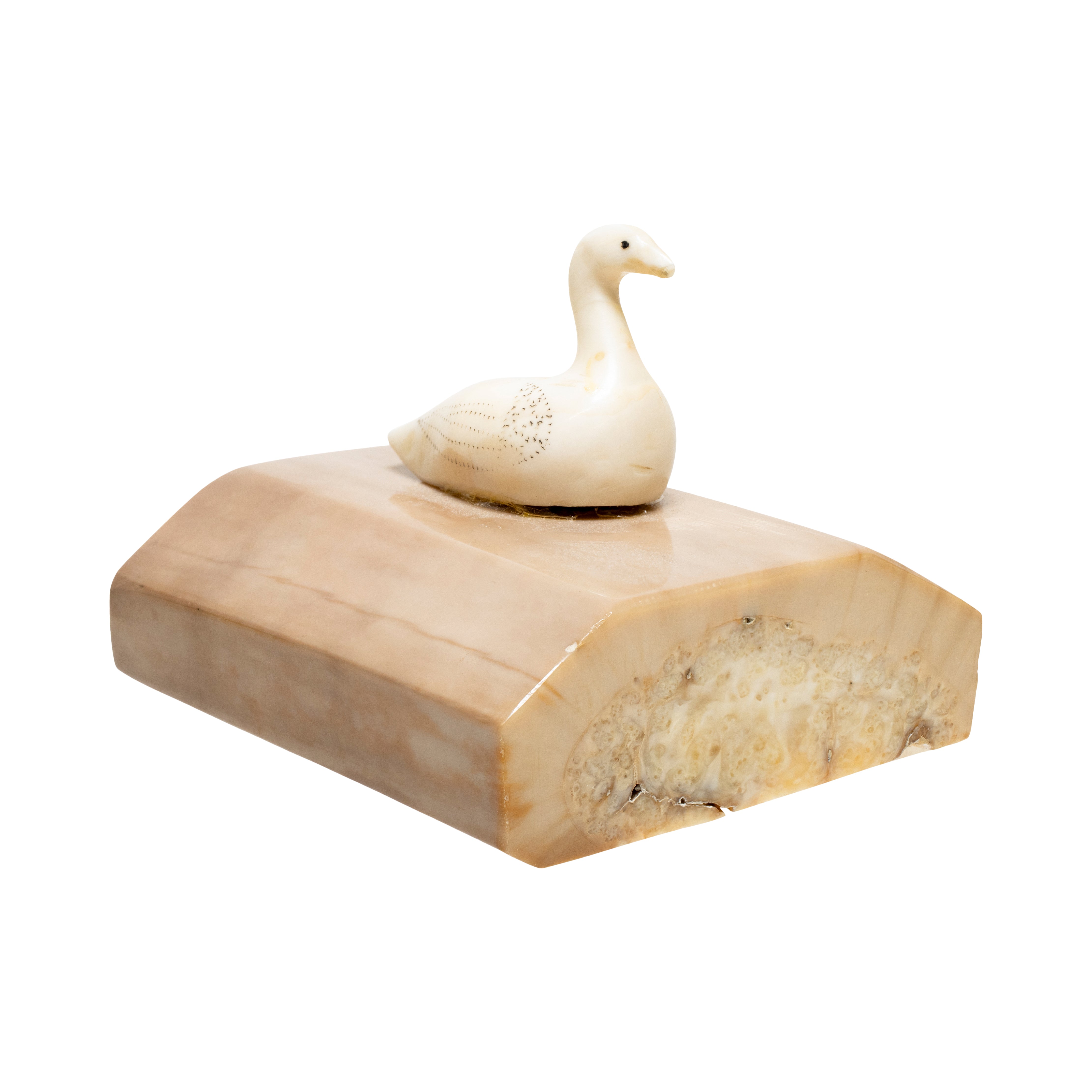 Inuit Fossilized Ivory Goose, Native, Carving, Ivory