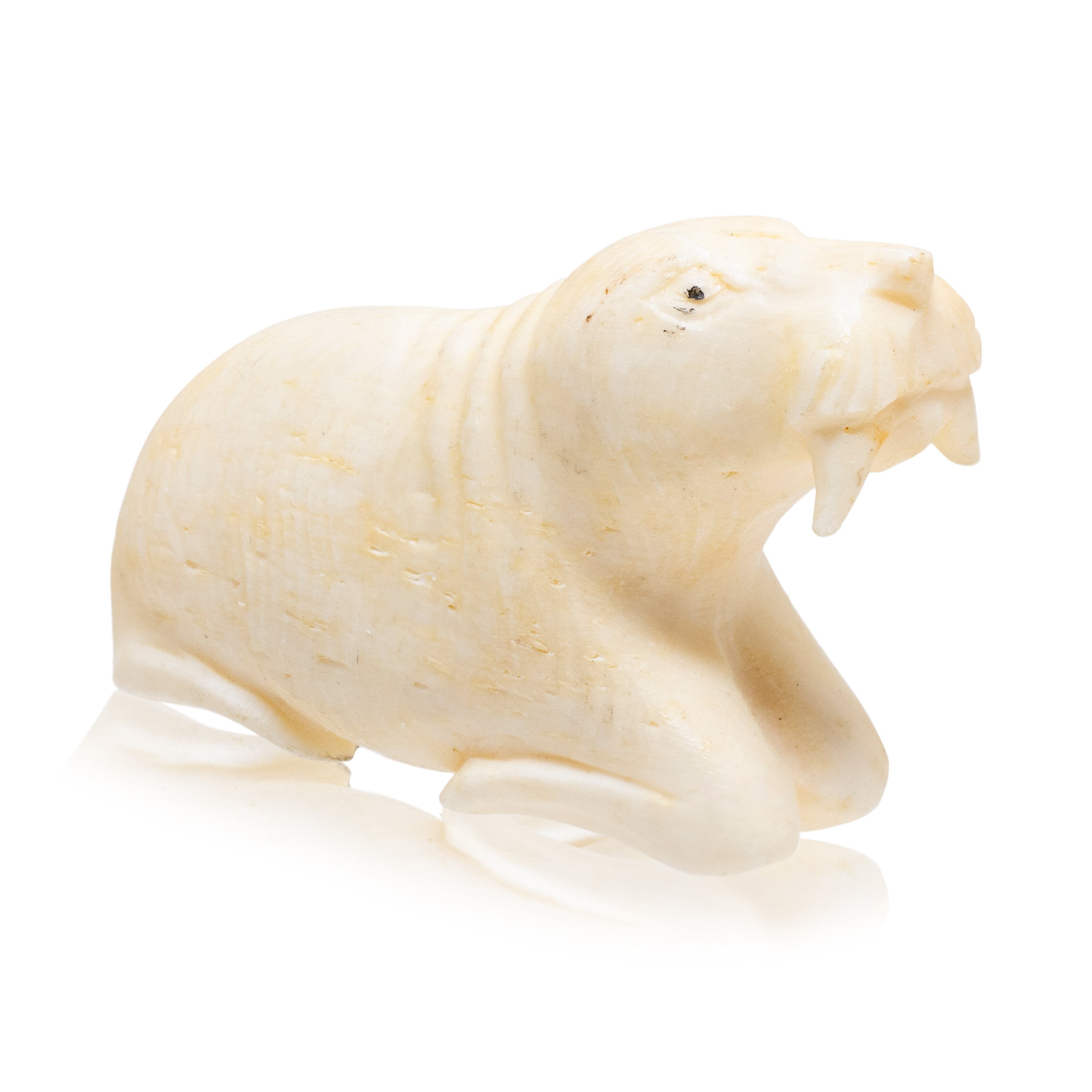 Miniature Inuit Walrus Ivory Sea Lion, Native, Carving, Ivory