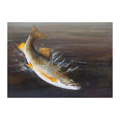 Trout by H.A. Driscole, Fine Art, Painting, Sporting