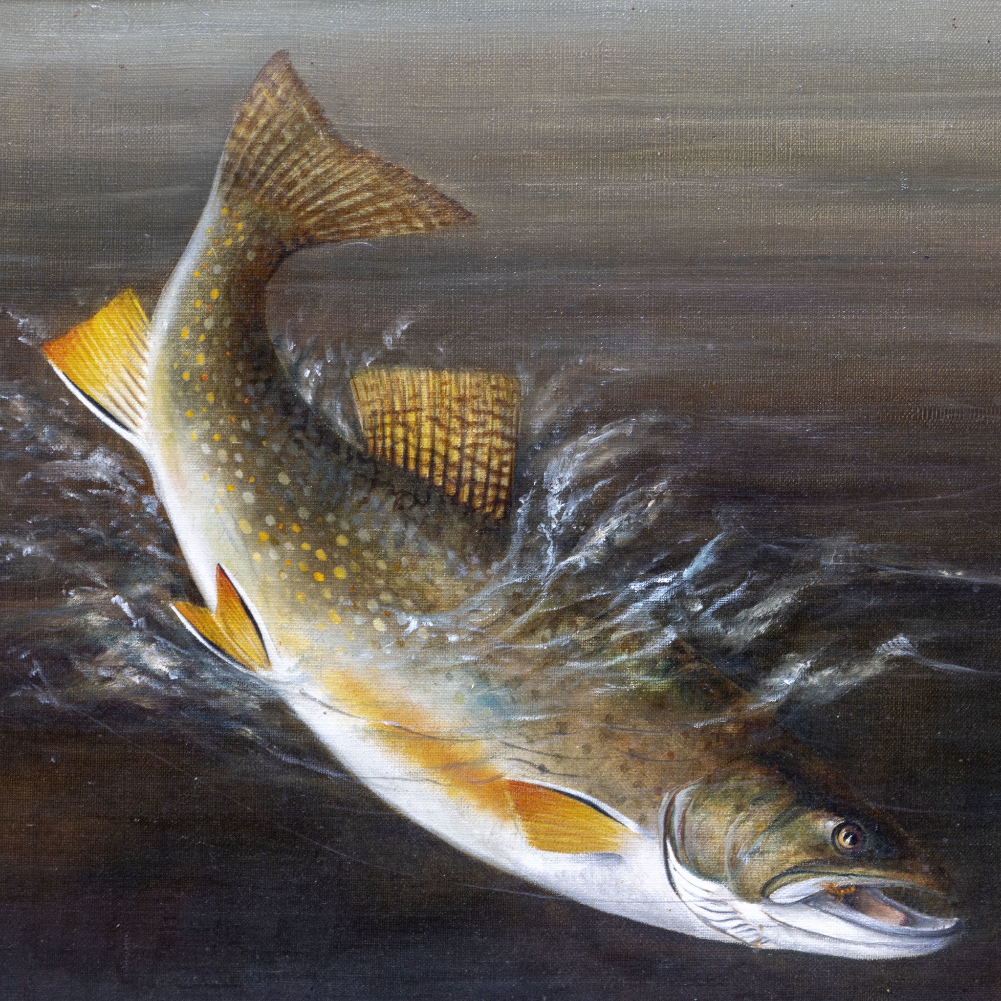 Trout by H.A. Driscole