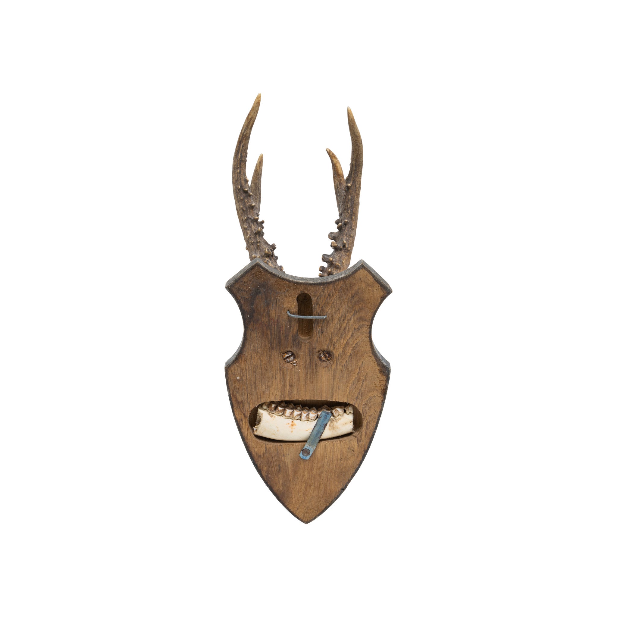 Roe Deer Collection