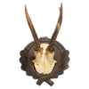 Roe Deer Collection
