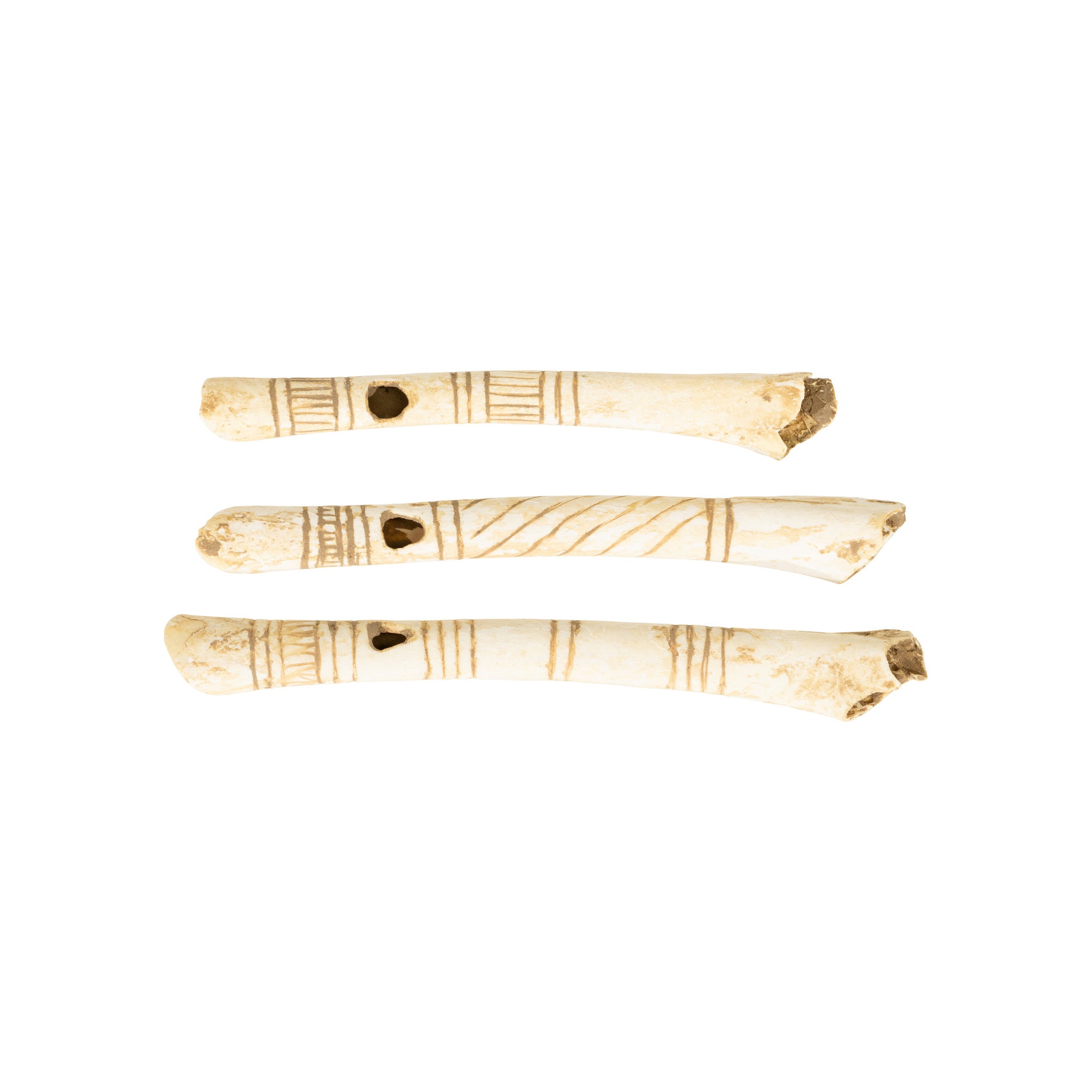 Prehistoric Wing Bone Whistles