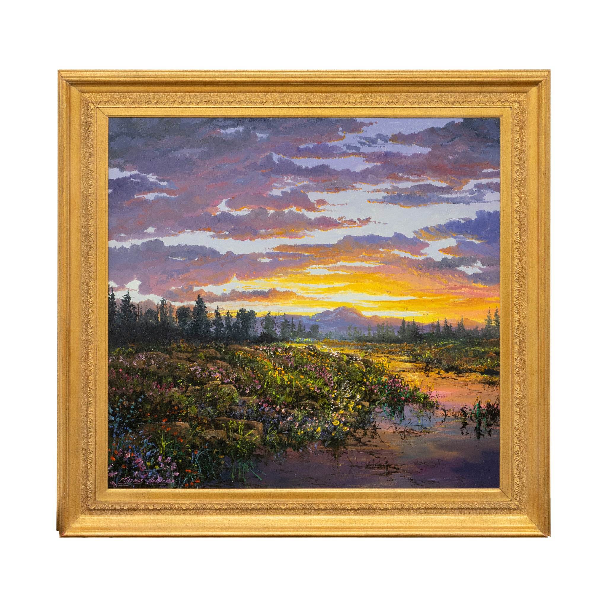 Setting Sun by Thomas deDecker