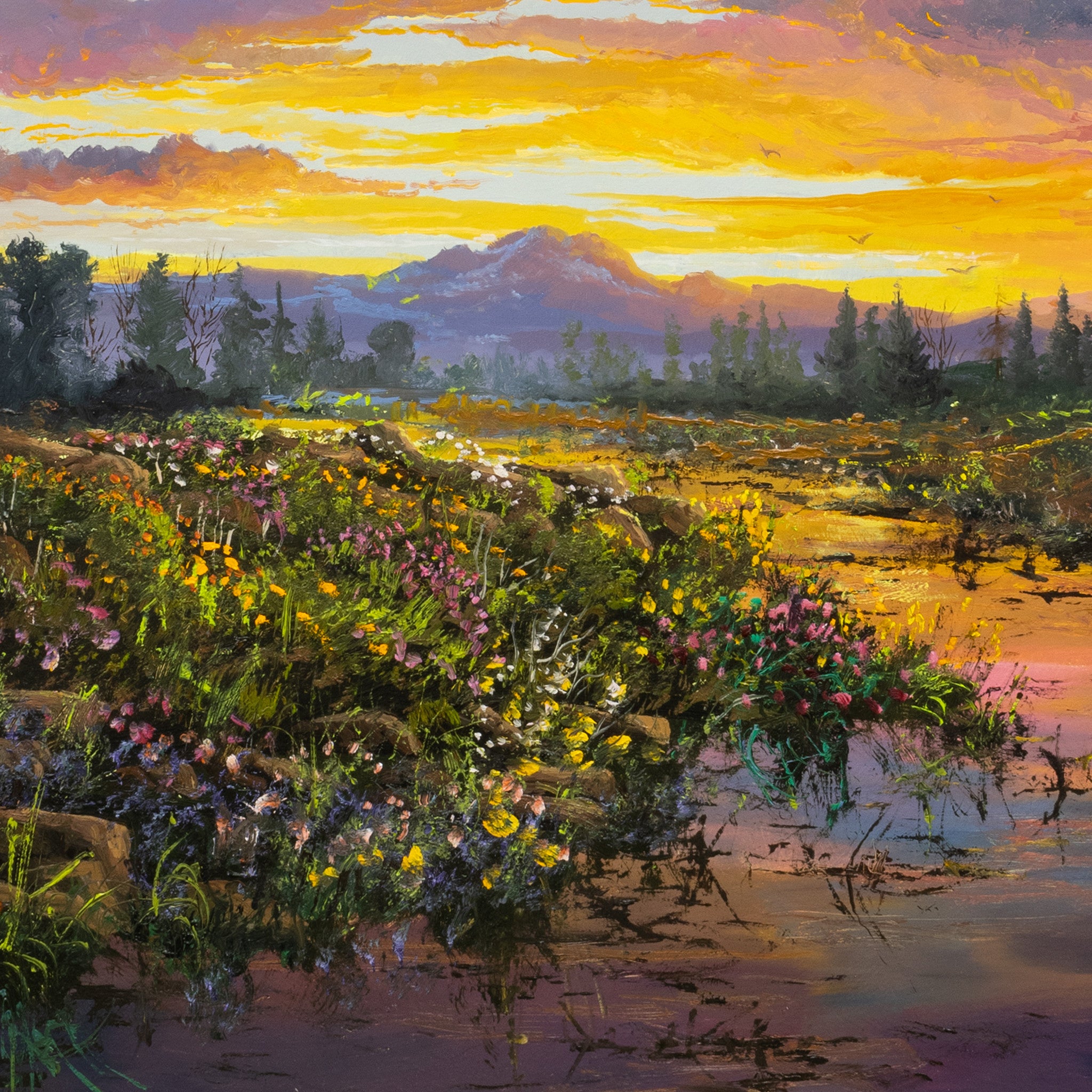 Setting Sun by Thomas deDecker