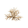 Red Stag Fireball Chandelier