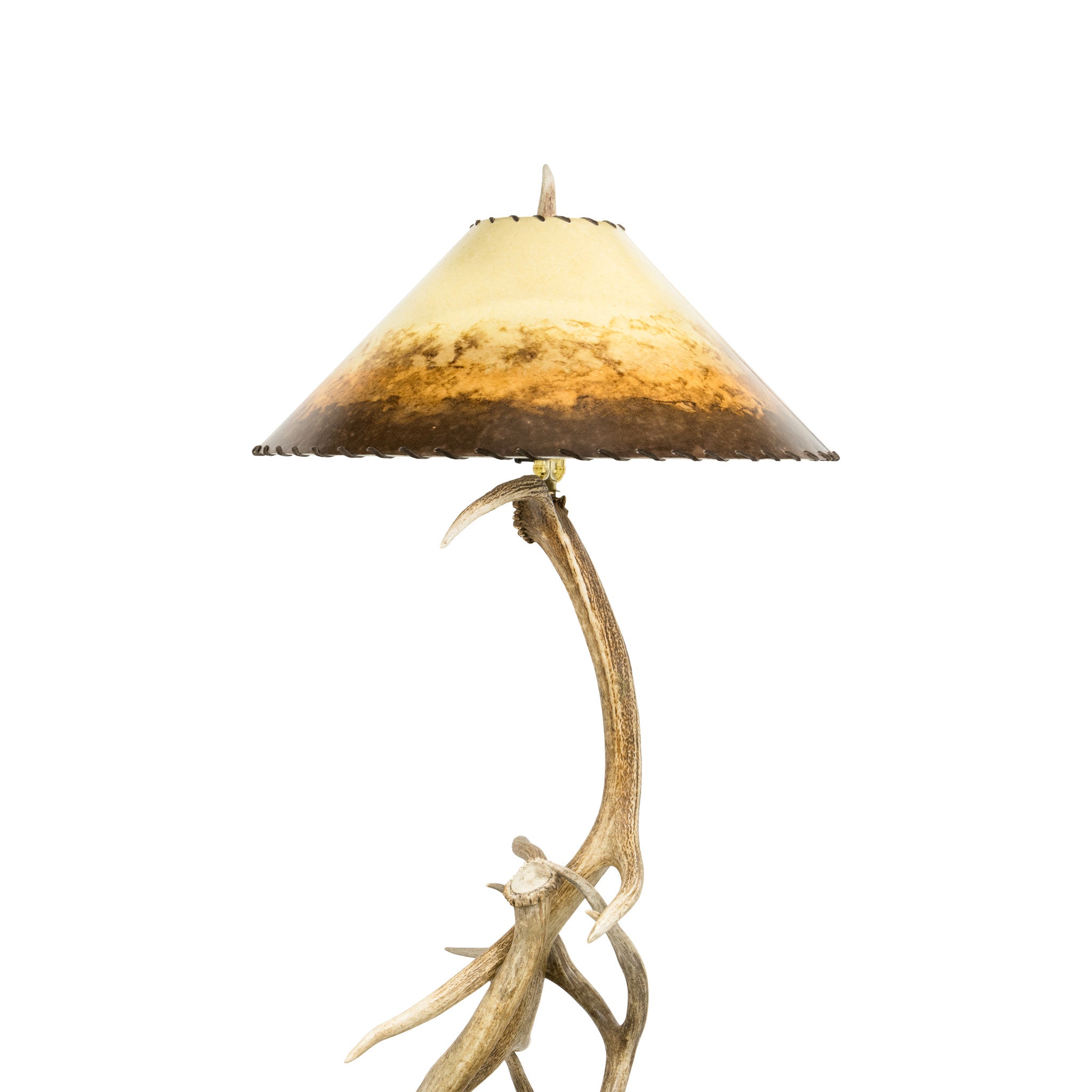 Elk Antler Floor Lamp