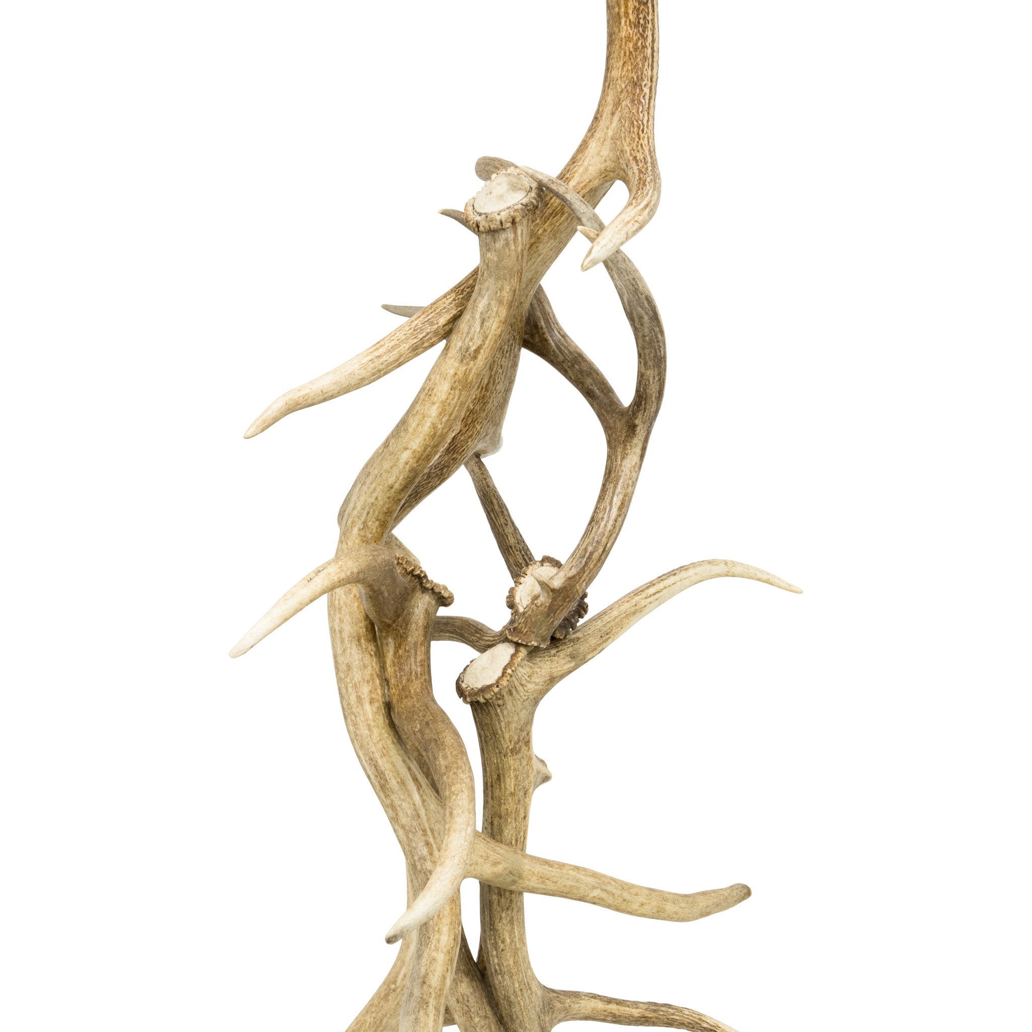 Elk Antler Floor Lamp