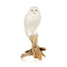 Snowy Owl, Furnishings, Taxidermy, Bird