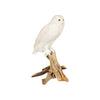 Snowy Owl