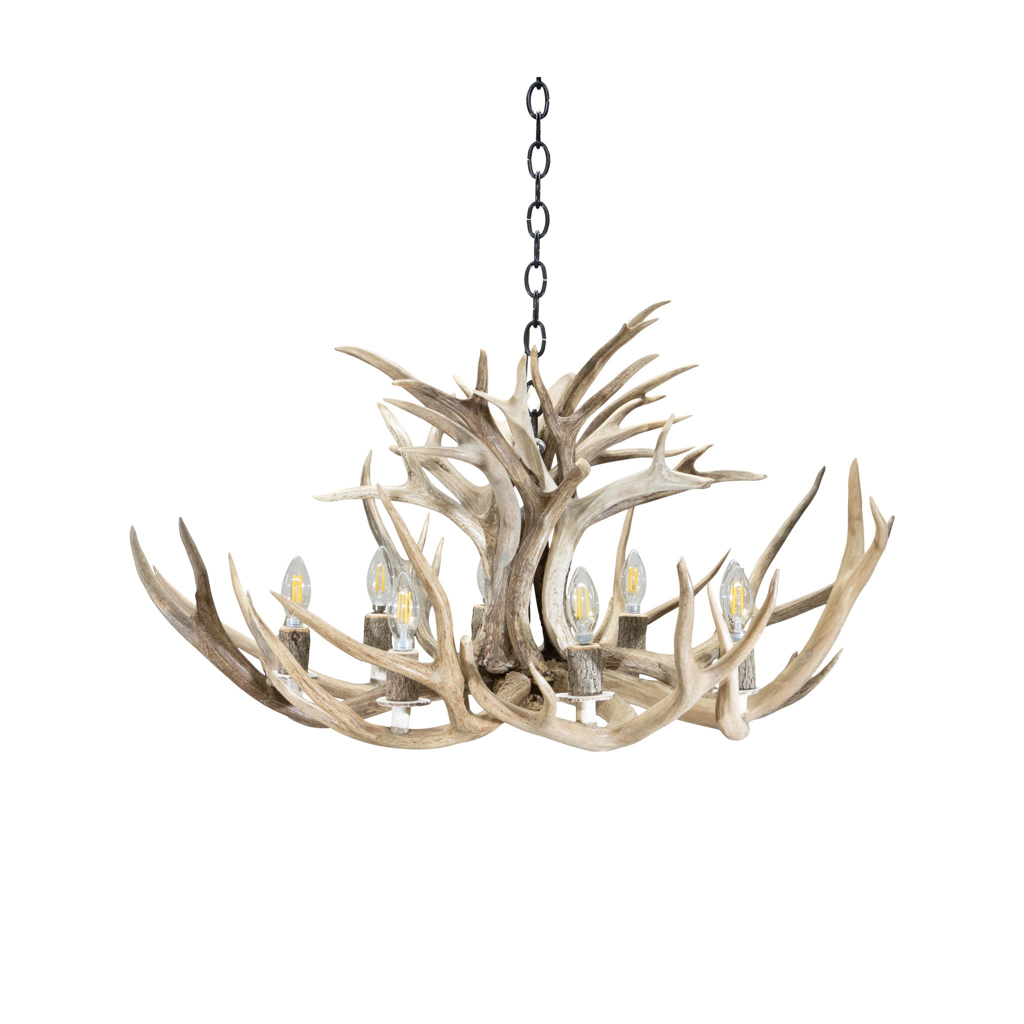 Mule Deer Chandelier