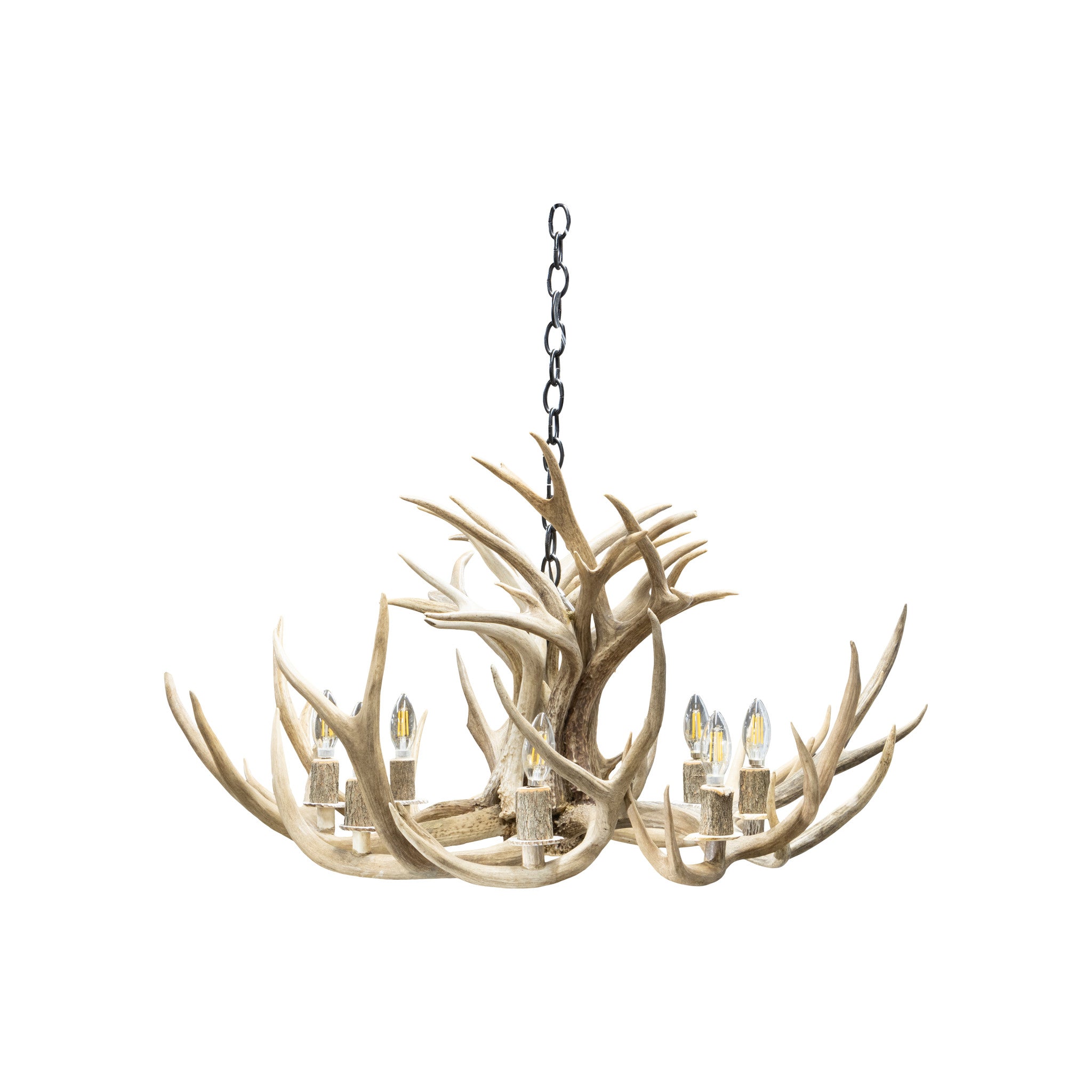 Mule Deer Chandelier