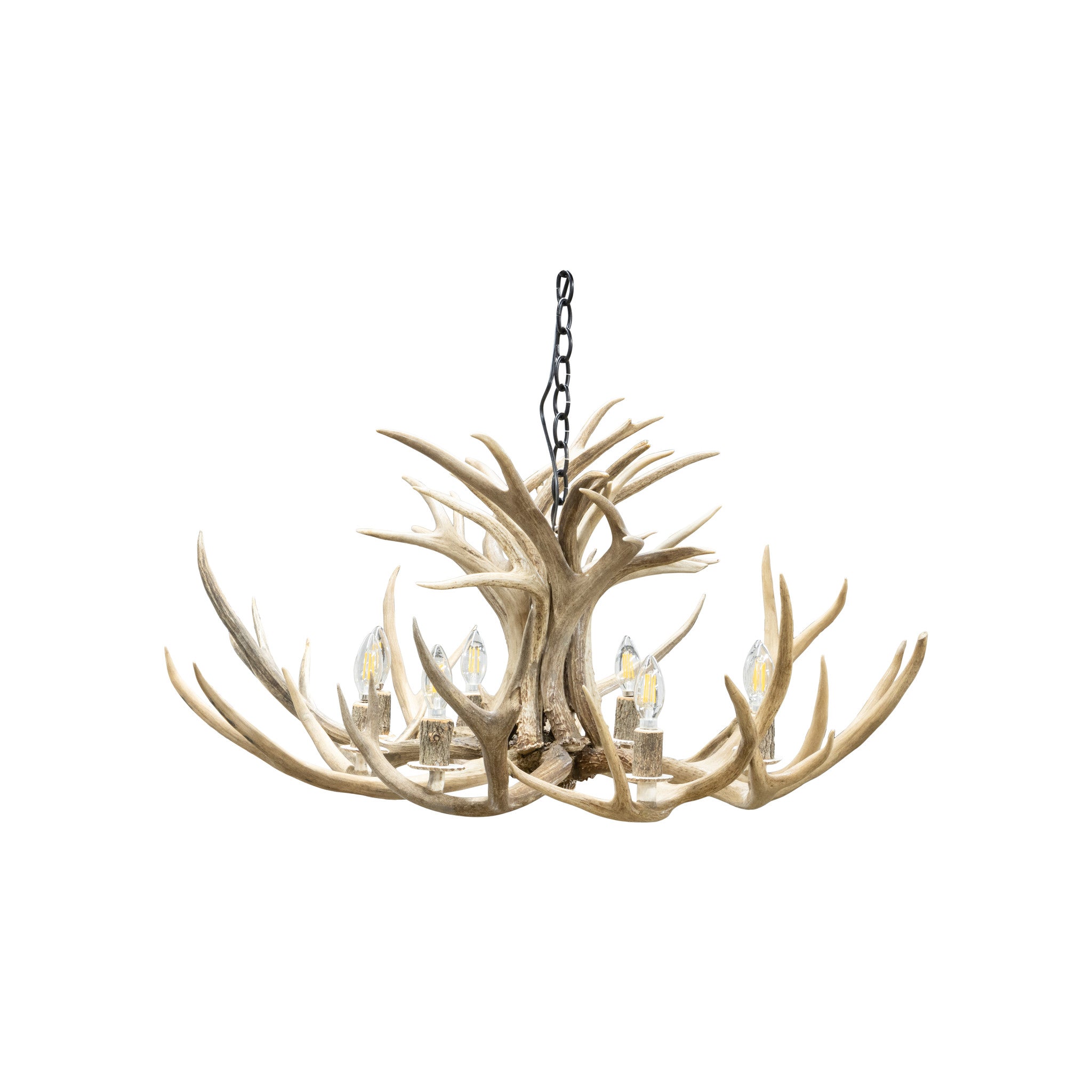 Mule Deer Chandelier