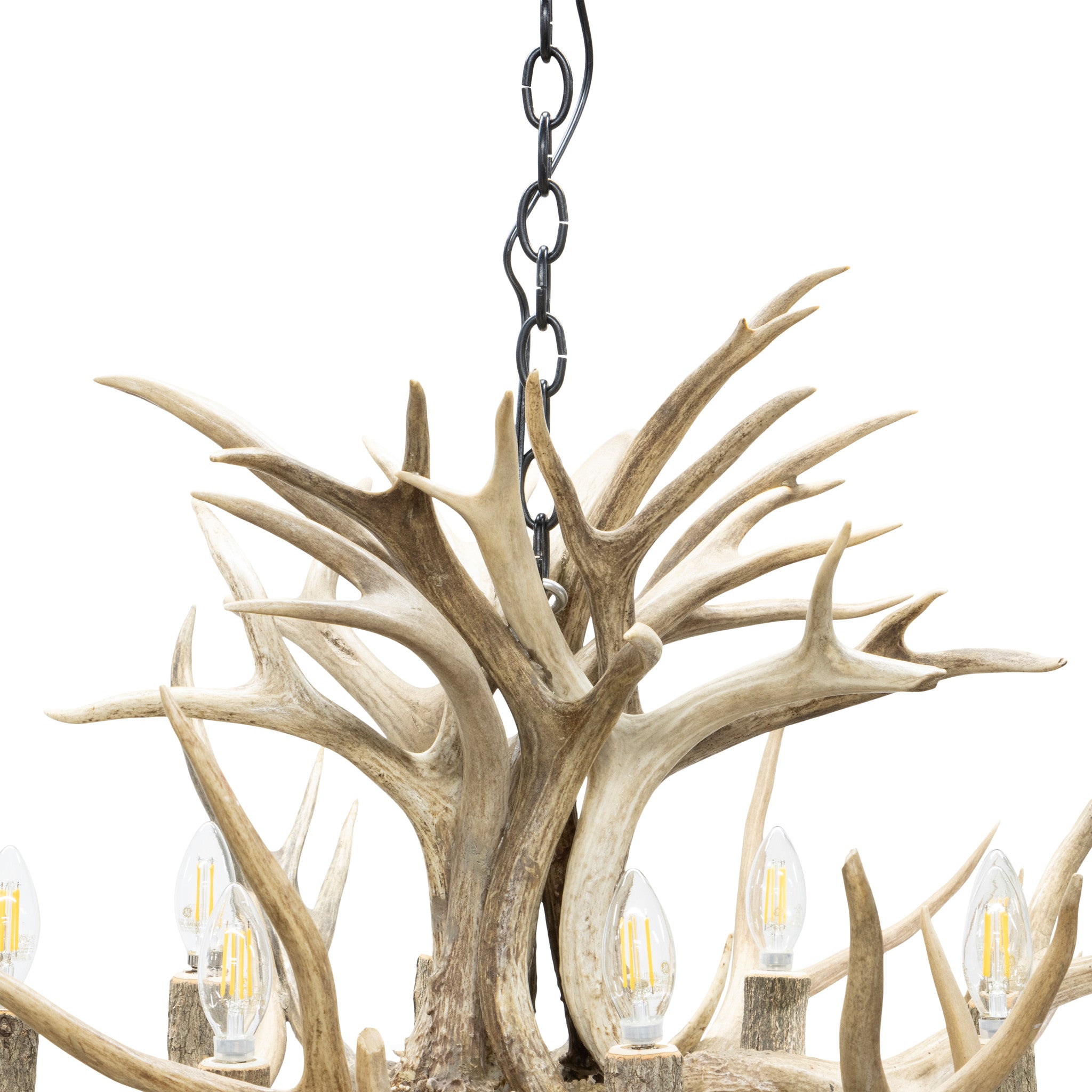 Mule Deer Chandelier