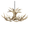 Mule Deer Chandelier