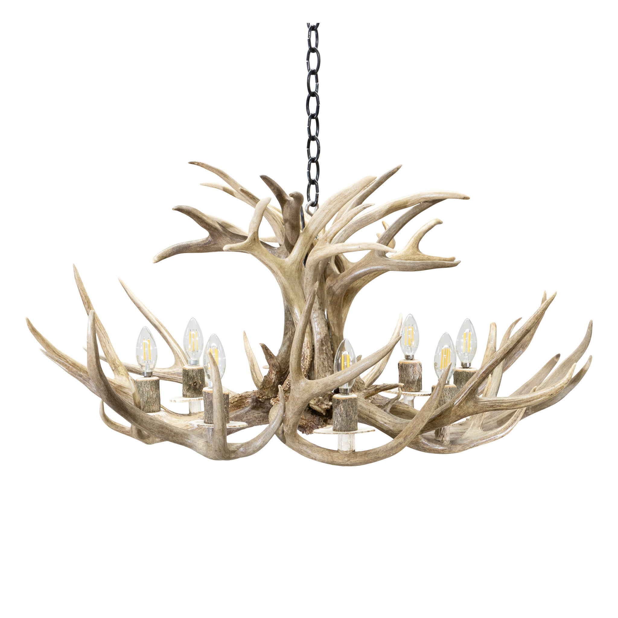 Mule Deer Chandelier