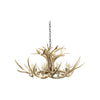 Mule Deer Chandelier