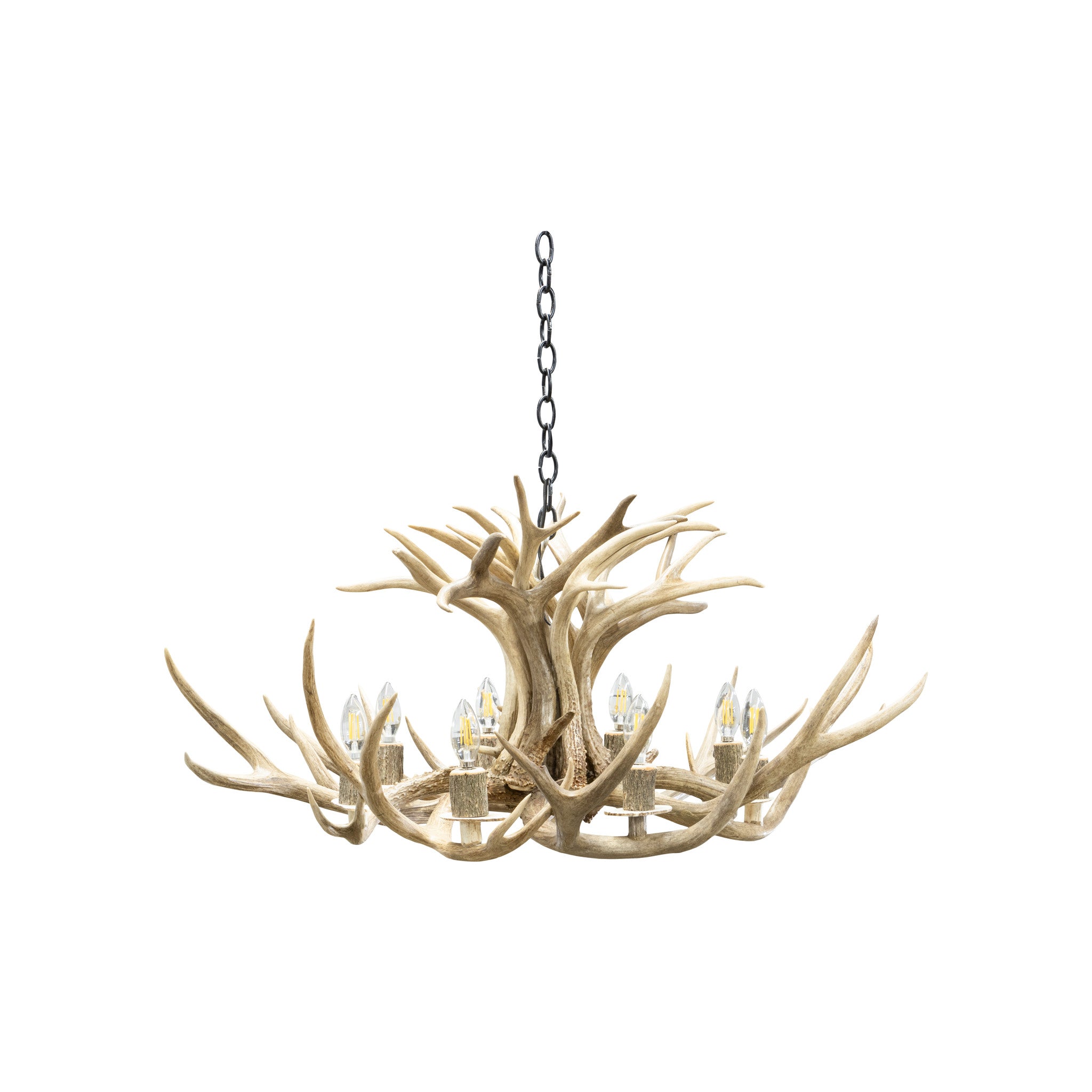 Mule Deer Chandelier