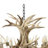 Mule Deer Chandelier