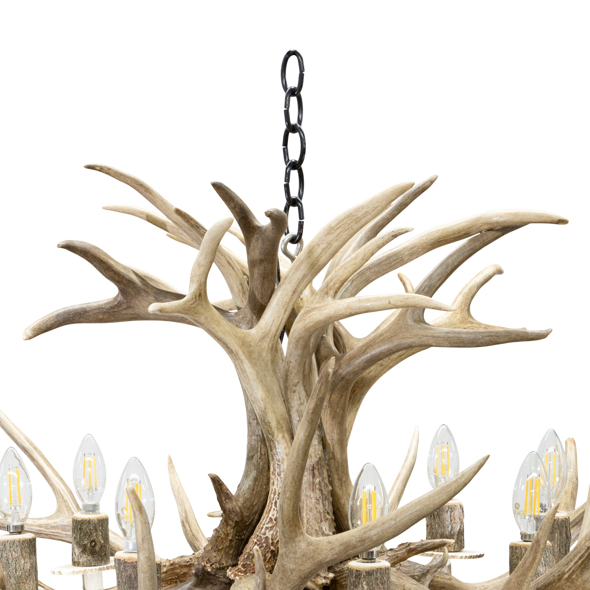 Mule Deer Chandelier