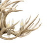 Mule Deer Chandelier