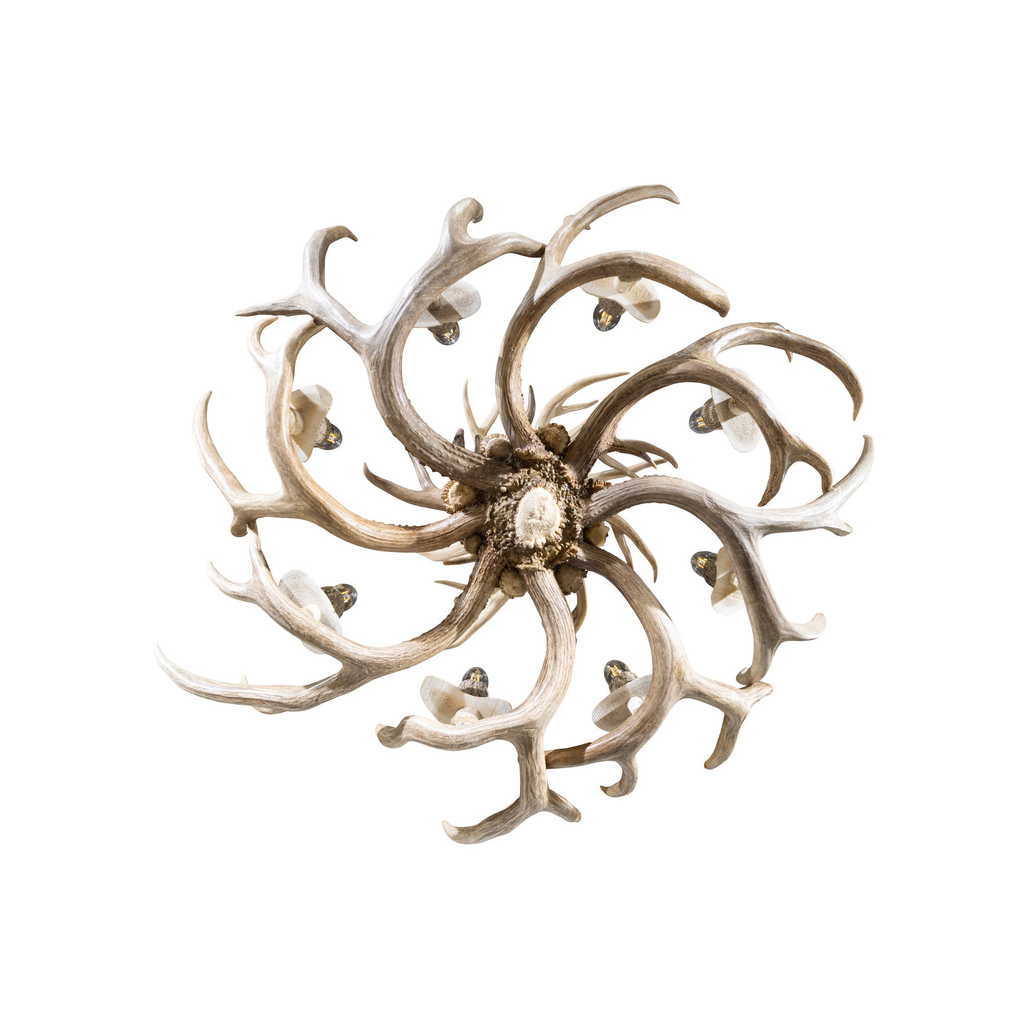 Mule Deer Chandelier