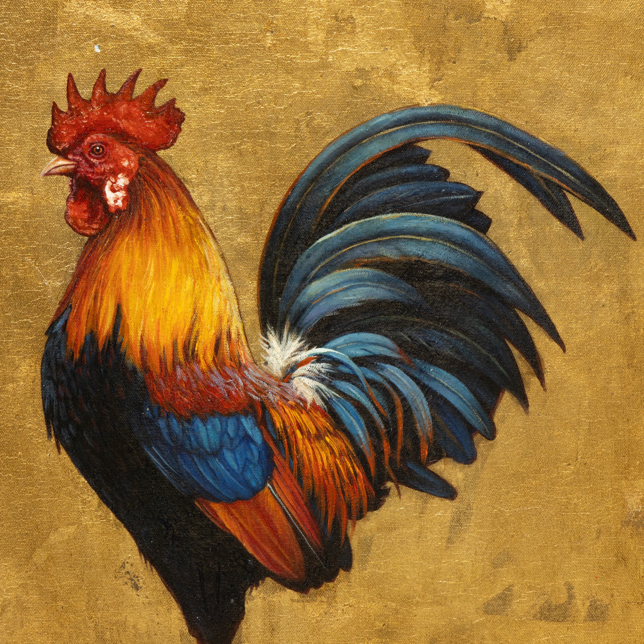 Rooster by E. Tapia