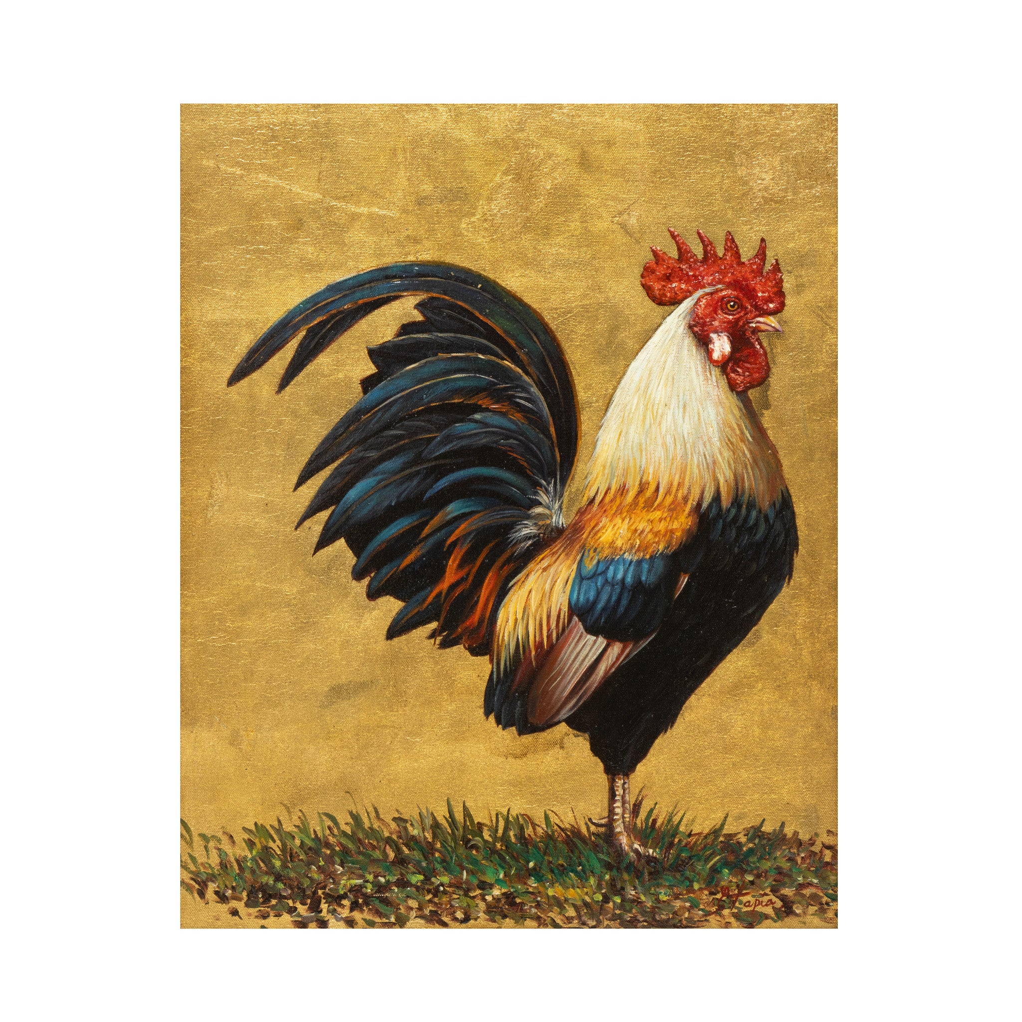 Rooster by E. Tapia